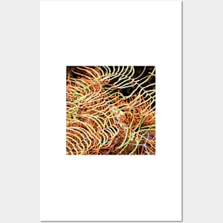 Patterned Fern Leaves and Branches Posters and Art